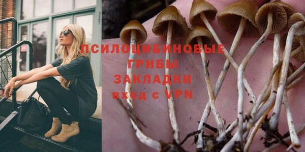 ALPHA PVP Нязепетровск
