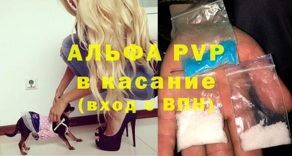 СК Алексин